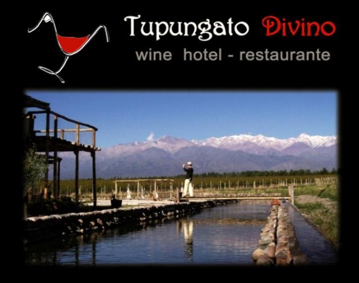 Villa Tupungato Divino Exterior foto